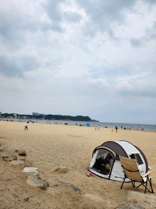 알 수 없음님의 자유주제 · 자유게시판 작성글 사진