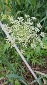 팜모닝 자유주제·사진전 게시글 이미지