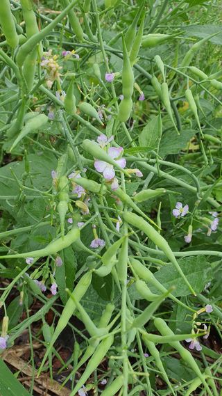 황의성님의 자유주제 · 사진전 작성글 사진