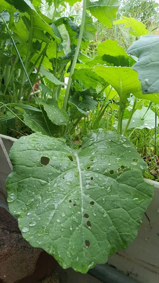 황의성님의 자유주제 · 사진전 작성글 사진