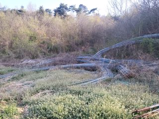 박대준 님의 작성글 사진