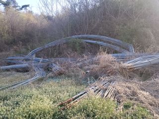 박대준 님의 작성글 사진