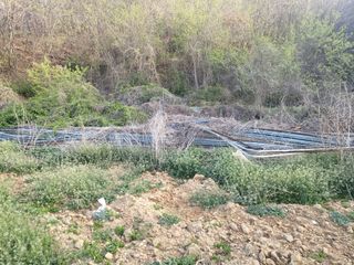 박대준 님의 작성글 사진