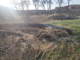 박대준 님의 작성글 사진