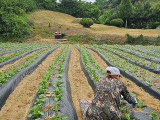 빠꼼이님의 금쪽같은 내 작물 자랑하기 · 참여 작성글 사진