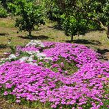 팜모닝 자유주제·자유게시판 게시글 이미지