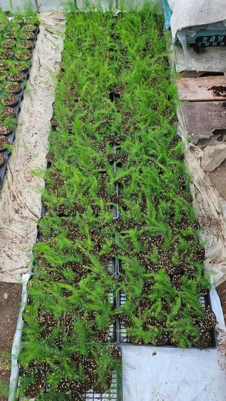 최병관님의 기타작물 · 자유게시판 작성글 사진