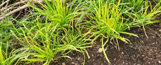 진잠농원님의 자유주제 · 자유게시판 작성글 사진