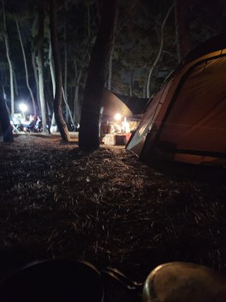 알 수 없음님의 자유주제 · 자유게시판 작성글 사진