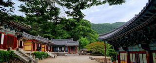 템즈님의 자유주제 · 자유게시판 작성글 사진