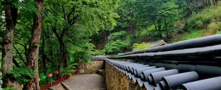 템즈님의 자유주제 · 자유게시판 작성글 사진