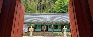 템즈님의 자유주제 · 자유게시판 작성글 사진