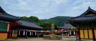 템즈님의 자유주제 · 자유게시판 작성글 사진