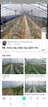 팜모닝 오이·병해충상담 게시글 이미지