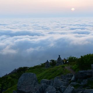 산 아래님의 마늘 · 일상 작성글 사진
