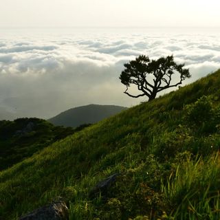 산 아래님의 마늘 · 일상 작성글 사진