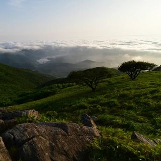 산 아래님의 마늘 · 일상 작성글 사진