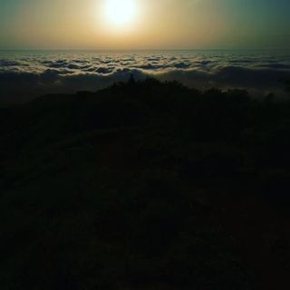 산 아래님의 마늘 · 일상 작성글 사진