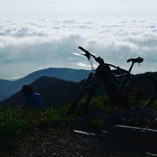 산 아래님의 마늘 · 일상 작성글 사진