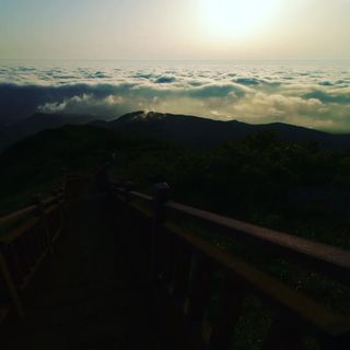 산 아래님의 마늘 · 일상 작성글 사진