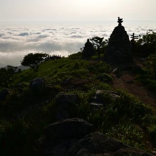 산 아래님의 마늘 · 일상 작성글 사진