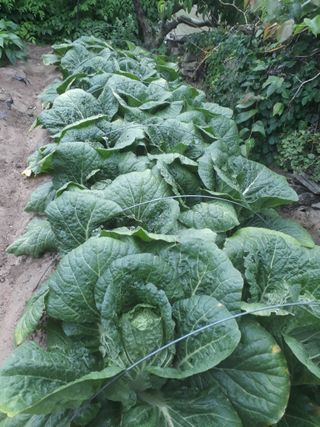 세영님의 우리동네 · 동네자랑 작성글 사진