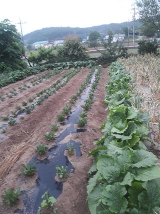 세영님의 우리동네 · 동네자랑 작성글 사진