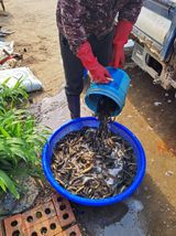 팜모닝 · 게시글 이미지