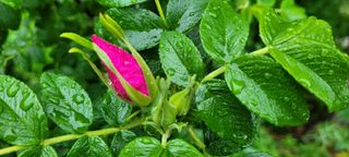 채경희님의 자유주제 · 자유게시판 작성글 사진