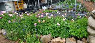 채경희님의 자유주제 · 자유게시판 작성글 사진