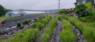 채경희님의 자유주제 · 자유게시판 작성글 사진