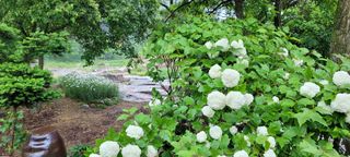 채경희님의 자유주제 · 자유게시판 작성글 사진