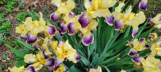 채경희님의 자유주제 · 자유게시판 작성글 사진