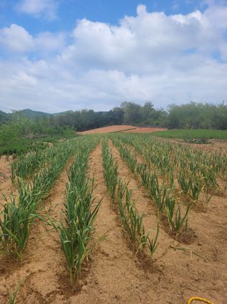 이름유순옥님의 자유주제 · 사진전 작성글 사진