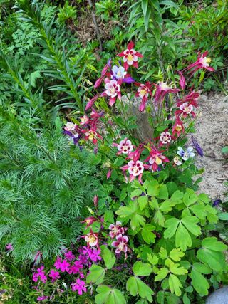 이름유순옥님의 자유주제 · 사진전 작성글 사진