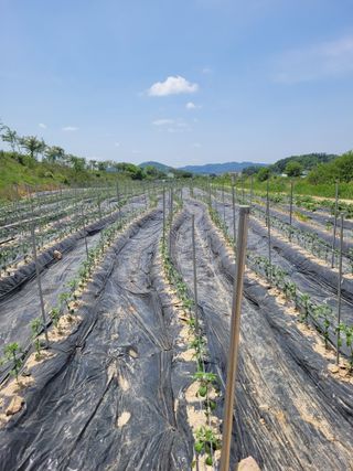 이름유순옥님의 자유주제 · 사진전 작성글 사진