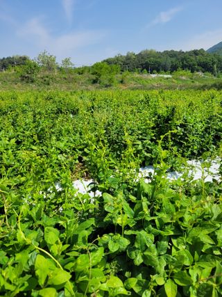 이름유순옥님의 자유주제 · 사진전 작성글 사진