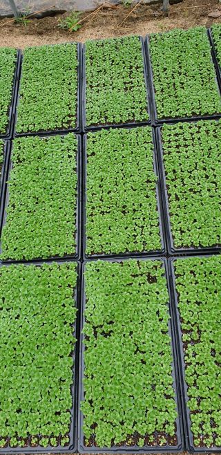 박춘식님의 자유주제 · 자유게시판 작성글 사진