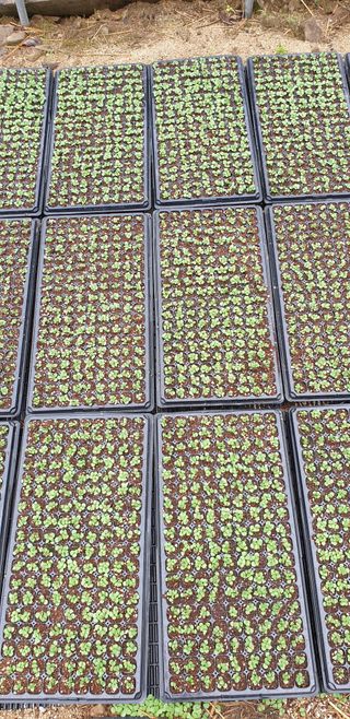 박춘식님의 자유주제 · 자유게시판 작성글 사진