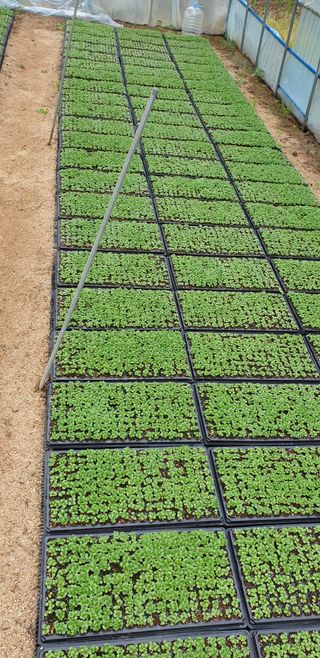 박춘식님의 자유주제 · 자유게시판 작성글 사진