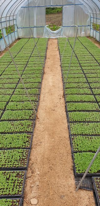 박춘식님의 자유주제 · 자유게시판 작성글 사진