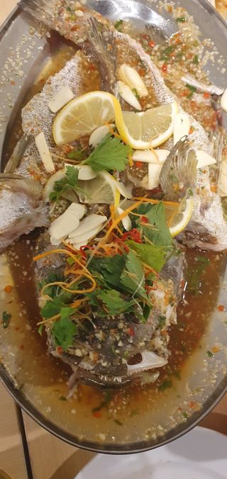 한량님의 자유주제 · 자유게시판 작성글 사진