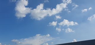 한량님의 자유주제 · 자유게시판 작성글 사진