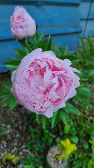 김정원님의 자유주제 · 사진전 작성글 사진