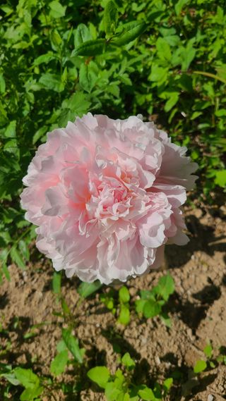 김정원님의 자유주제 · 사진전 작성글 사진