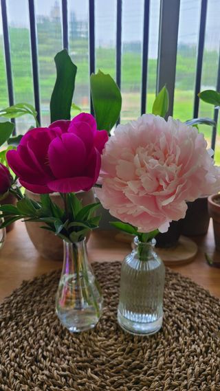 김정원님의 자유주제 · 사진전 작성글 사진