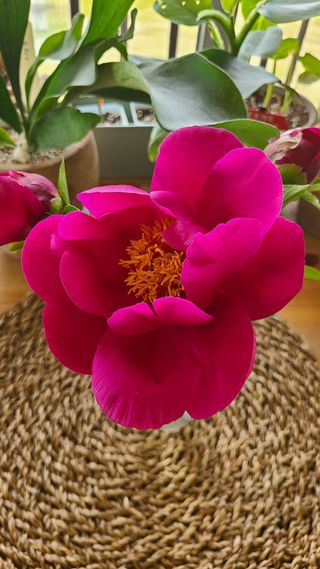 김정원님의 자유주제 · 사진전 작성글 사진