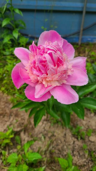 김정원님의 자유주제 · 사진전 작성글 사진