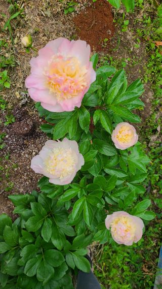 김정원님의 자유주제 · 사진전 작성글 사진