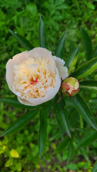 김정원님의 자유주제 · 사진전 작성글 사진